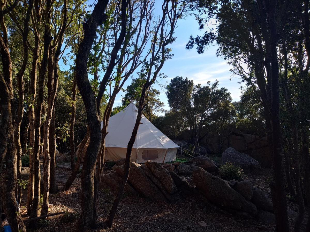 La Cera Farm Camping B&B Santa Teresa Gallura Exterior photo