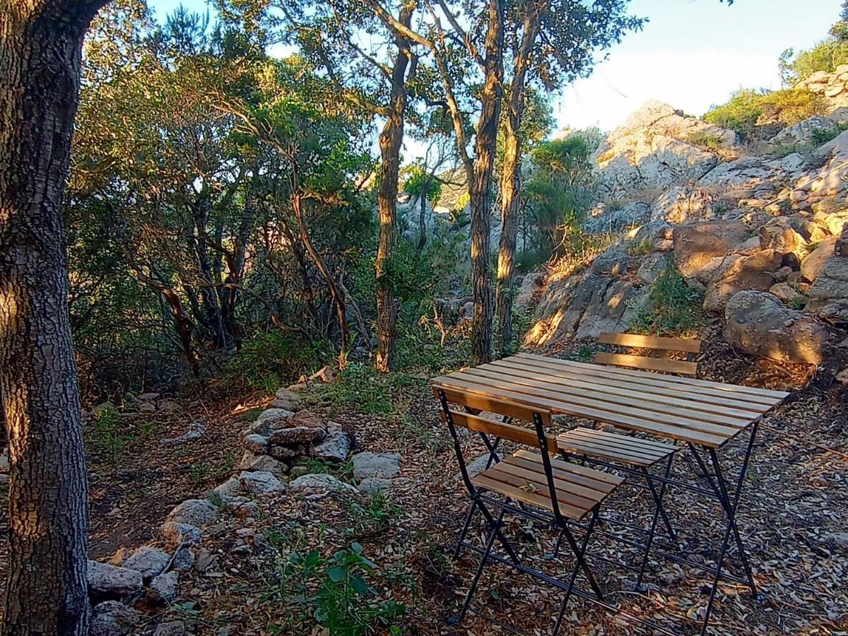 La Cera Farm Camping B&B Santa Teresa Gallura Exterior photo